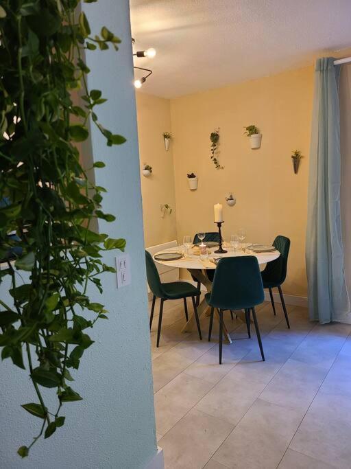 Joli Renove Situe Au Pied Des Thermes Amelie-les-Bains-Palalda