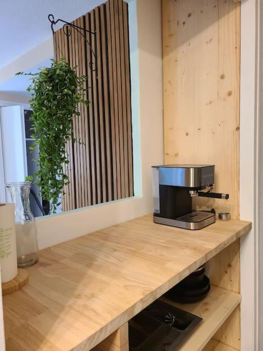 Apartment Joli Renove Situe Au Pied Des Thermes Amelie-les-Bains-Palalda