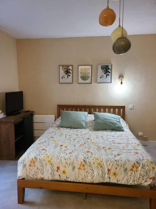 Joli Renove Situe Au Pied Des Thermes Apartment *